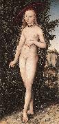 CRANACH, Lucas the Elder, Venus Standing in a Landscape  fdg